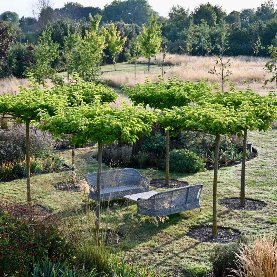 Orchard Dene Bed and Breakfast Chidham Exteriör bild